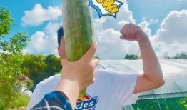 又吃瓜又唱歌的网红,揭秘又吃瓜又唱歌的网红魅力